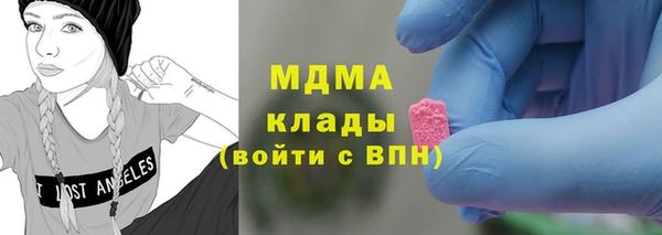 индика Богданович